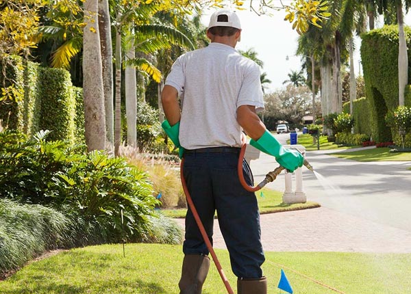 About Macclesfield NC Pest Control